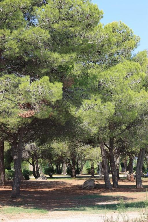 Villa Casa Mireia I Paula à Riumar Extérieur photo